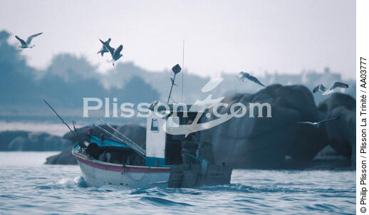 Petite pêche à Ploumanac'h - © Philip Plisson / Plisson La Trinité / AA03777 - Nos reportages photos - Goéland