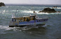 Caseyeur de paimpol. © Philip Plisson / Plisson La Trinité / AA03622 - Nos reportages photos - Pêche côtière