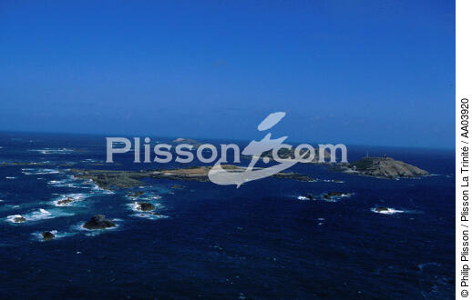 Vue aérienne des 7 îles. - © Philip Plisson / Plisson La Trinité / AA03920 - Nos reportages photos - Sept Iles [Les]