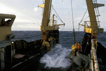Pêcheurs au travail. © Didier Perron / Plisson La Trinité / AA03999 - Nos reportages photos - Marin-pêcheur