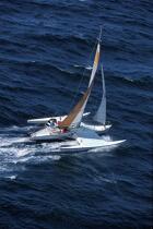 Aile Bleue © Philip Plisson / Plisson La Trinité / AA04024 - Photo Galleries - Sailing Race