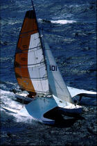 Aile Bleue © Philip Plisson / Plisson La Trinité / AA04025 - Photo Galleries - Sailing Race