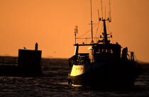 Retour de pêche au petit matin © Philip Plisson / Plisson La Trinité / AA04031 - Nos reportages photos - Bateau