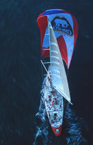 Côte d'Or sous spi. © Philip Plisson / Plisson La Trinité / AA04080 - Photo Galleries - Sailing Race
