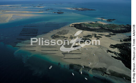 Parcs ostréicole à Chausey. - © Philip Plisson / Plisson La Trinité / AA04108 - Photo Galleries - Oyster Farming