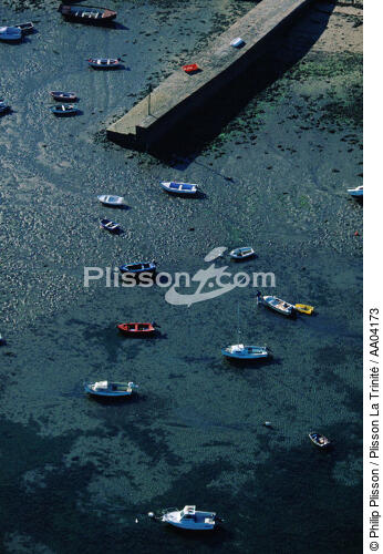 Plates à l'ile aux Moines. - © Philip Plisson / Plisson La Trinité / AA04173 - Photo Galleries - Pier