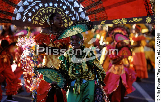 Le carnaval de Fort de France. - © Philip Plisson / Plisson La Trinité / AA04540 - Nos reportages photos - 3e âge
