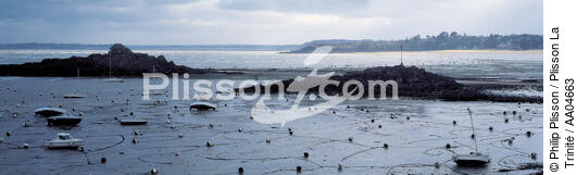 Saint-Cast. - © Philip Plisson / Plisson La Trinité / AA04663 - Photo Galleries - Low tide