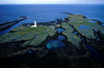 Scotland's Hyskeir Lighthouse. © Philip Plisson / Plisson La Trinité / AA04687 - Photo Galleries - Hyskeir [lighthouse]