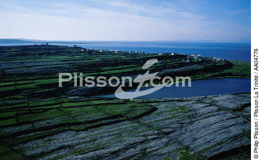 Inisheer, îles d'Aran. - © Philip Plisson / Plisson La Trinité / AA04776 - Photo Galleries - Low wall