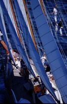 Les equipiers dans la voilure. © Philip Plisson / Plisson La Trinité / AA04922 - Photo Galleries - Tall ships