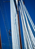 Equipier dans la mature. © Philip Plisson / Plisson La Trinité / AA04937 - Photo Galleries - Tall ships