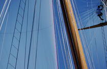 Equipier entre voile et mat. © Philip Plisson / Plisson La Trinité / AA04938 - Photo Galleries - Tall ships