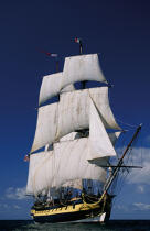 Le trois-mâts barque frégate : HMS Rose © Philip Plisson / Plisson La Trinité / AA04987 - Photo Galleries - Tall ships
