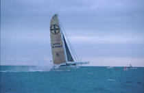 Bayer. © Philip Plisson / Plisson La Trinité / AA05034 - Photo Galleries - Sailing Race