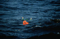 Sauvetage en mer pendant le Vendée Globe. © Philip Plisson / Plisson La Trinité / AA05046 - Nos reportages photos - Homme