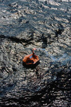 Canot de survie en pleine mer. © Philip Plisson / Plisson La Trinité / AA05058 - Nos reportages photos - Canot de survie