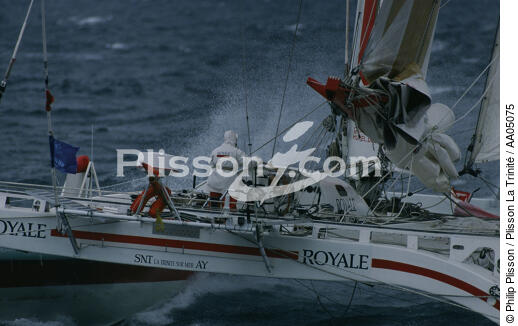 Loïc Caradec sur Royale. - © Philip Plisson / Plisson La Trinité / AA05075 - Nos reportages photos - Course au large