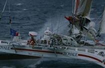 Loïc Caradec sur Royale. © Philip Plisson / Plisson La Trinité / AA05075 - Photo Galleries - Sailing Race