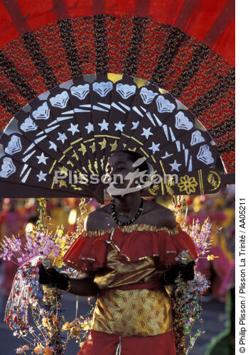 Carnaval - © Philip Plisson / Plisson La Trinité / AA05211 - Nos reportages photos - Costume