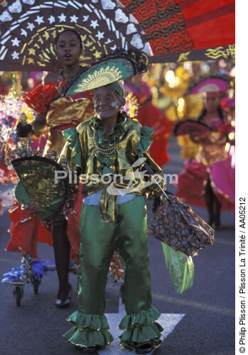 Carnaval à la Martinique. - © Philip Plisson / Plisson La Trinité / AA05212 - Nos reportages photos - Antilles [Les]