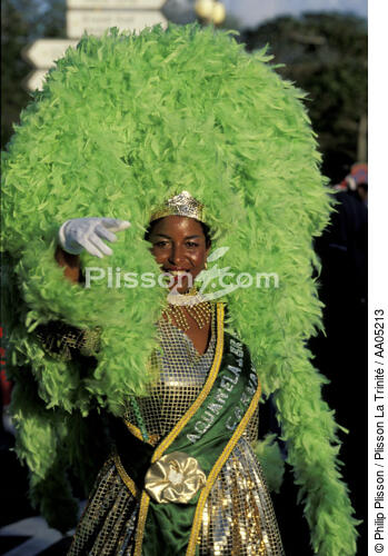 Le Carnaval de Fort-de-France - © Philip Plisson / Plisson La Trinité / AA05213 - Nos reportages photos - Costume