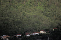 Village à la Martinique. © Philip Plisson / Plisson La Trinité / AA05225 - Nos reportages photos - Martinique [la]