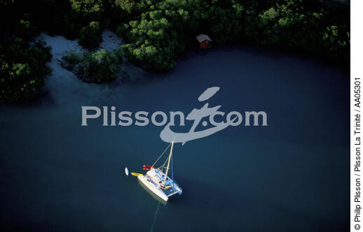 Mouillage à la Martinique. - © Philip Plisson / Plisson La Trinité / AA05301 - Nos reportages photos - Catamaran de croisière