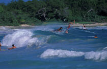Surf à l'anse Trabaud (Martinique) © Philip Plisson / Plisson La Trinité / AA05317 - Photo Galleries - Sainte-Anne