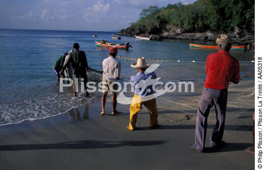 Pêcheurs martiniquais remontant la seine sur la plage de l'Anse noire - © Philip Plisson / Plisson La Trinité / AA05318 - Nos reportages photos - Pêcheur du monde