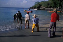 Pêcheurs martiniquais remontant la seine sur la plage de l'Anse noire © Philip Plisson / Plisson La Trinité / AA05318 - Photo Galleries - Fisherman
