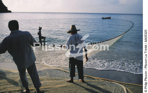 Pêche au seine (filet) depuis la plage de l'anse noire - © Philip Plisson / Plisson La Trinité / AA05320 - Nos reportages photos - Antilles [Les]