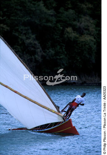 Equipier au rappel sur une yole à voile - © Philip Plisson / Plisson La Trinité / AA05323 - Photo Galleries - West indies [The]