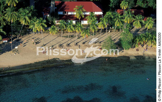 Petite plage dans les Antilles. - © Philip Plisson / Plisson La Trinité / AA05330 - Nos reportages photos - Palmier