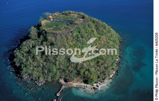 Vue aérienne de l'Ilet Ramier - © Philip Plisson / Plisson La Trinité / AA05339 - Photo Galleries - West indies [The]