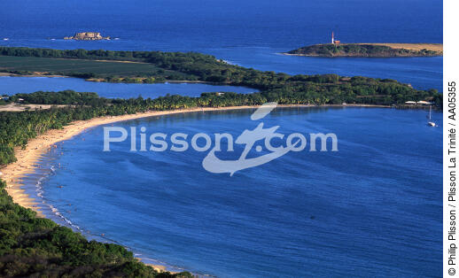 La grande anse des Salines - © Philip Plisson / Plisson La Trinité / AA05355 - Nos reportages photos - Antilles [Les]