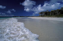 la plage d'Anse Trabaud © Philip Plisson / Plisson La Trinité / AA05365 - Nos reportages photos - Antilles [Les]