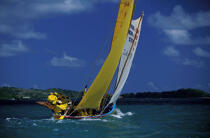 Une yole aux équipiers tout de jaune vêtus © Philip Plisson / Plisson La Trinité / AA05381 - Nos reportages photos - Antilles [Les]