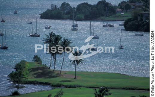 Le golf des trois ilets, au bord de l'eau - © Philip Plisson / Plisson La Trinité / AA05396 - Nos reportages photos - Golf