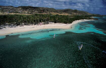 Windsurfeurs au Cap chevalier (Martinique) © Philip Plisson / Plisson La Trinité / AA05401 - Nos reportages photos - Antilles [Les]