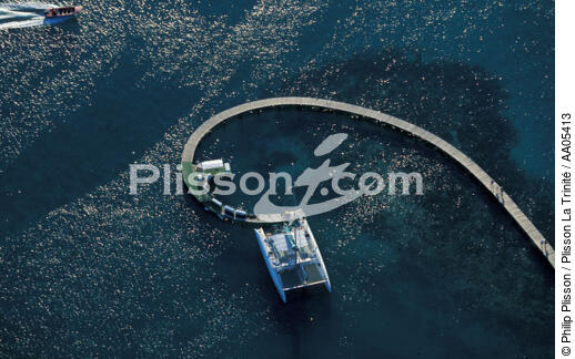 Catamaran amaré au ponton du Club Med de Saint-Anne (Martinique) - © Philip Plisson / Plisson La Trinité / AA05413 - Nos reportages photos - Catamaran de croisière