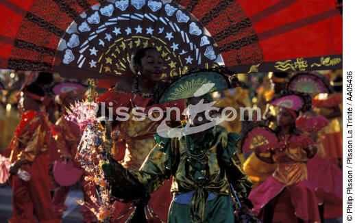 Personnages costumés au carnaval de Fort-de-France. - © Philip Plisson / Plisson La Trinité / AA05436 - Nos reportages photos - Fort-de-France