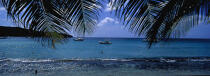 Plage des Anses d'Arlet © Philip Plisson / Plisson La Trinité / AA05452 - Nos reportages photos - Antilles [Les]