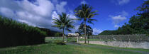 Grande propriété coloniale. © Philip Plisson / Plisson La Trinité / AA05458 - Photo Galleries - Palm tree