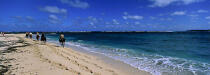 Ballade équestre sur la plage de l'Anse Trabaud [Martinique] © Philip Plisson / Plisson La Trinité / AA05459 - Nos reportages photos - Antilles [Les]