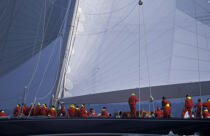 L'équipage d'Endeavour. © Philip Plisson / Plisson La Trinité / AA05519 - Photo Galleries - J Class yacht