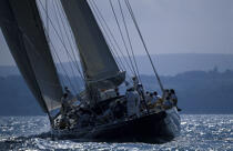 Le Class J : Velsheda © Philip Plisson / Plisson La Trinité / AA05533 - Photo Galleries - J Class yacht