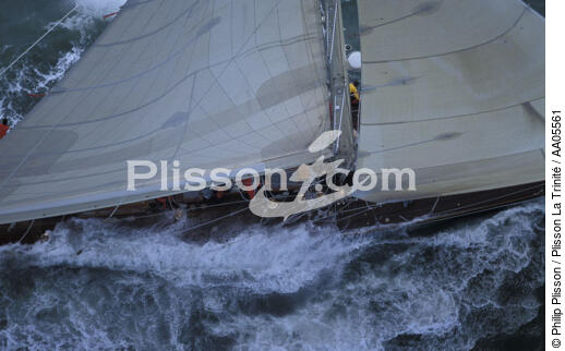 Shamrock sur un bord de près. - © Philip Plisson / Plisson La Trinité / AA05561 - Photo Galleries - Close to the wind