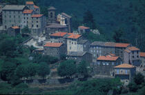Village Corse en montagne . © Philip Plisson / Plisson La Trinité / AA05655 - Nos reportages photos - Arbre