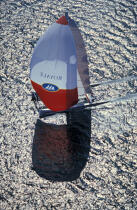 Royale sous spi. © Philip Plisson / Plisson La Trinité / AA05826 - Photo Galleries - Ocean racing catamaran